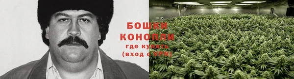 гидра Абдулино